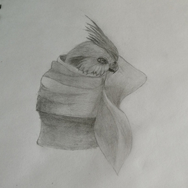 Попугайчик