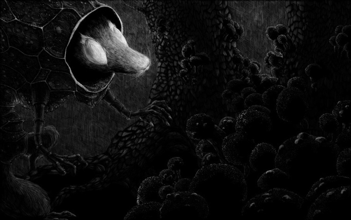 (без названия)