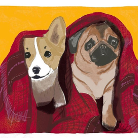 Открытка с Днём Рождения из серии «Собаки»