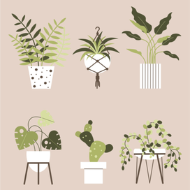 Милая иллюстрация с растениями 
