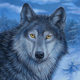 Лунной ночкой