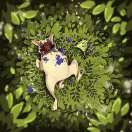 Черничная поляна