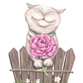 Котик  влюбленность