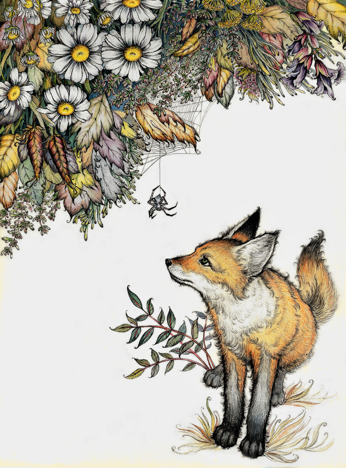 Любопытство