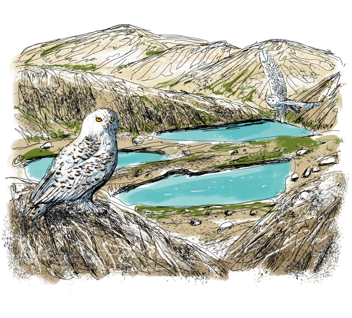 Охотники на мамонтов