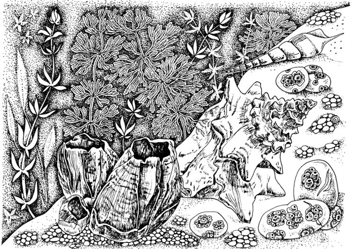 Подводный мир