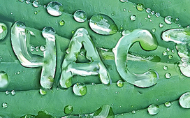 «Счастье». Рисунок слогана