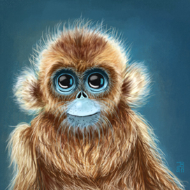 С наступающим, коллеги!