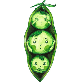 Ничего не вижу, ничего не слышу, ничего не скажу