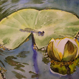 Стрекоза и лилия