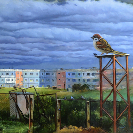 Сон воробья