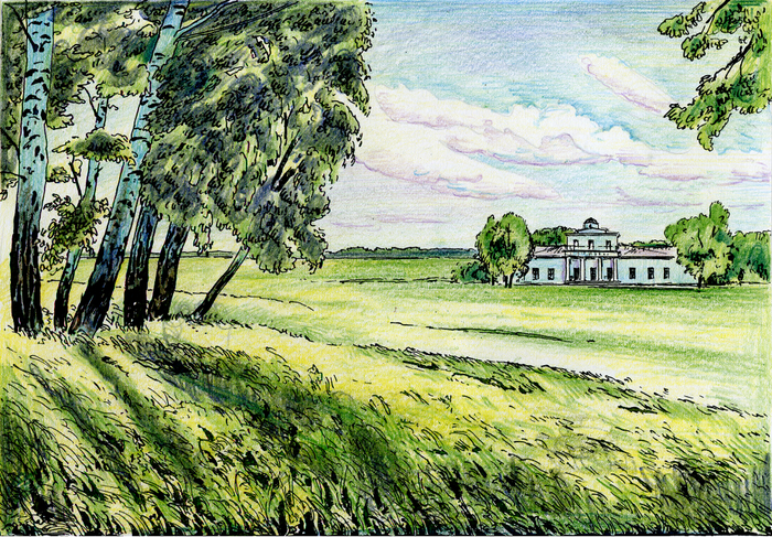 "В родные места"