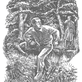 Выстрелы в лесу