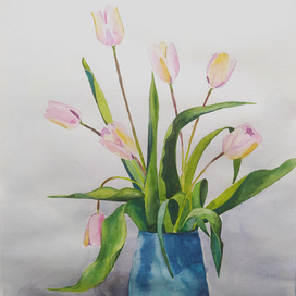 Розовые тюльпаны 