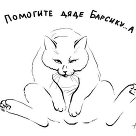 помогите, а?