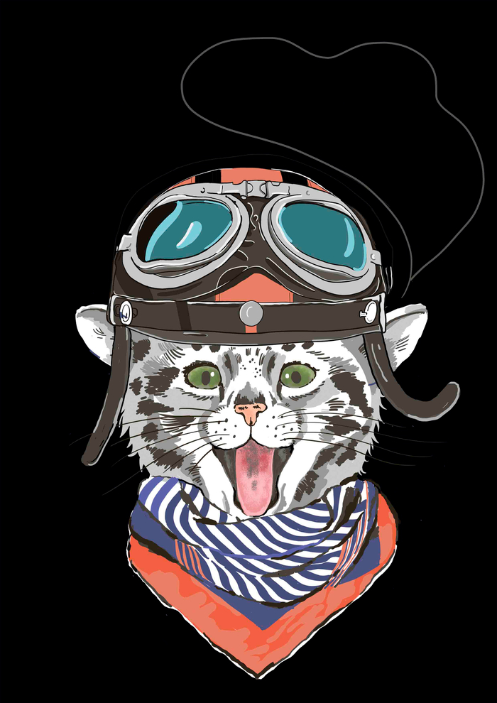 Кот в шлеме