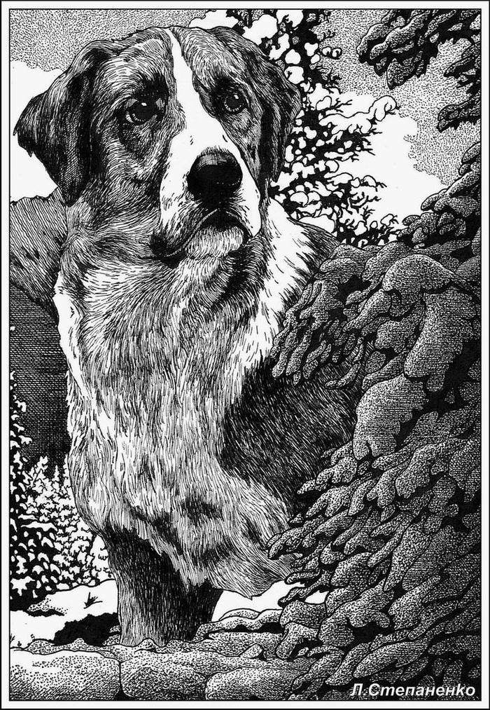 Зов предков. Обложка