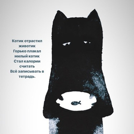 Кот на диете 