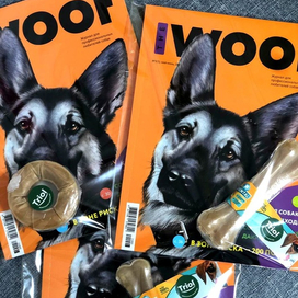 Обложка журнала 