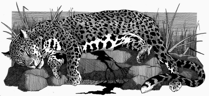 СЕМИРАМИДА. 13-Ф