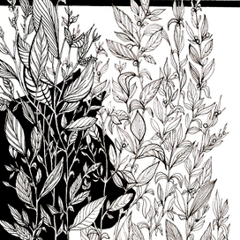 наступление ночи