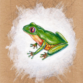 Зелёная лягушка