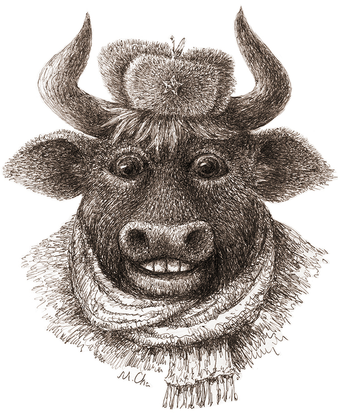 К году Быка