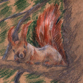 Рыжик  серия мой Кисловодск