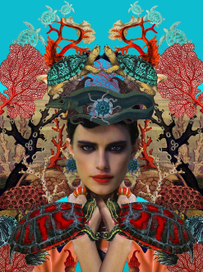 "Морские черепахи"