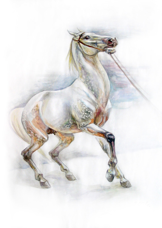 Испуганная лошадь