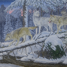 Волки и ёлки.