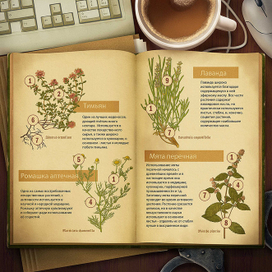 Справочник травника.