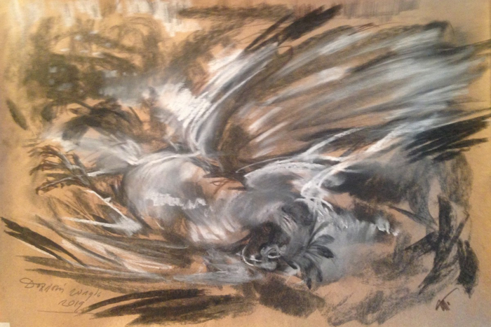 Дохлый попугай