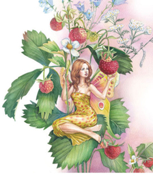 Фрагмент иллюстрации для упаковки косметической продукции. Цветочный эльф