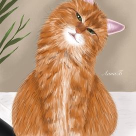 Апельсиновый кот