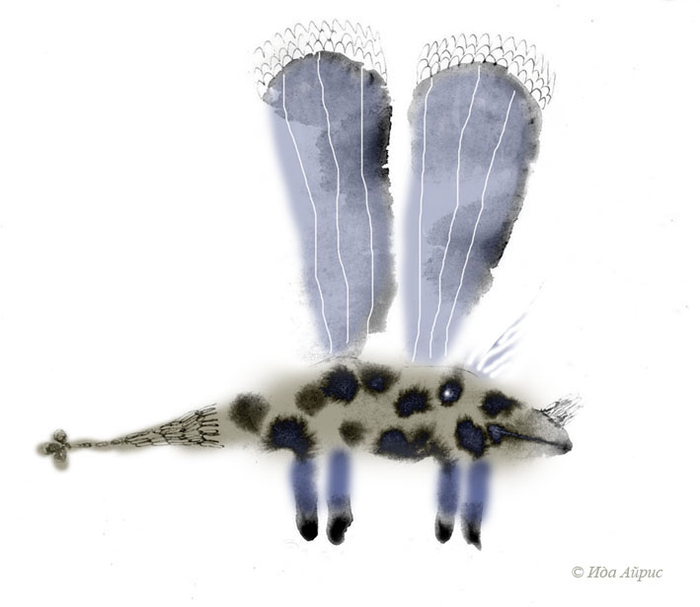 Пятнистый вертокрыл)