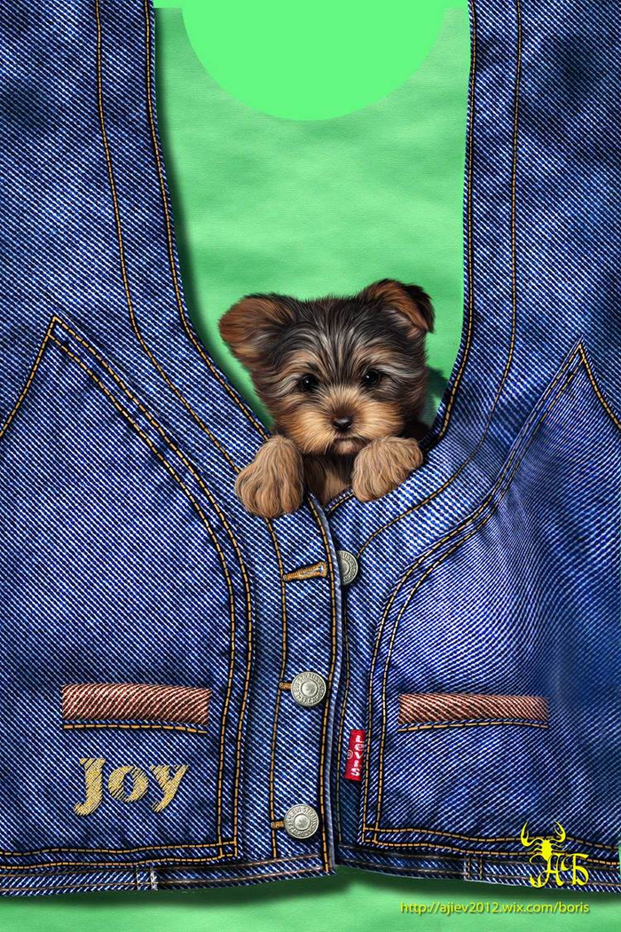 Принт на детскую футболку!))) Йорк!)))