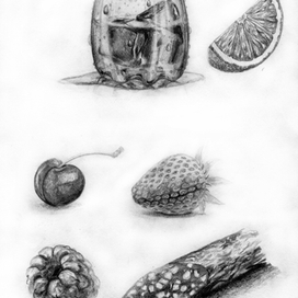 Набросок (корм)