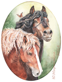 Белорусские упряжные. Митрофан и Гном