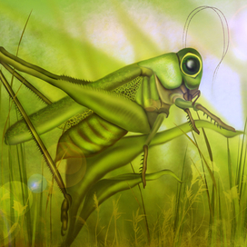 "В траве сидел кузнечик"...