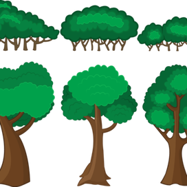 Деревья и кусты