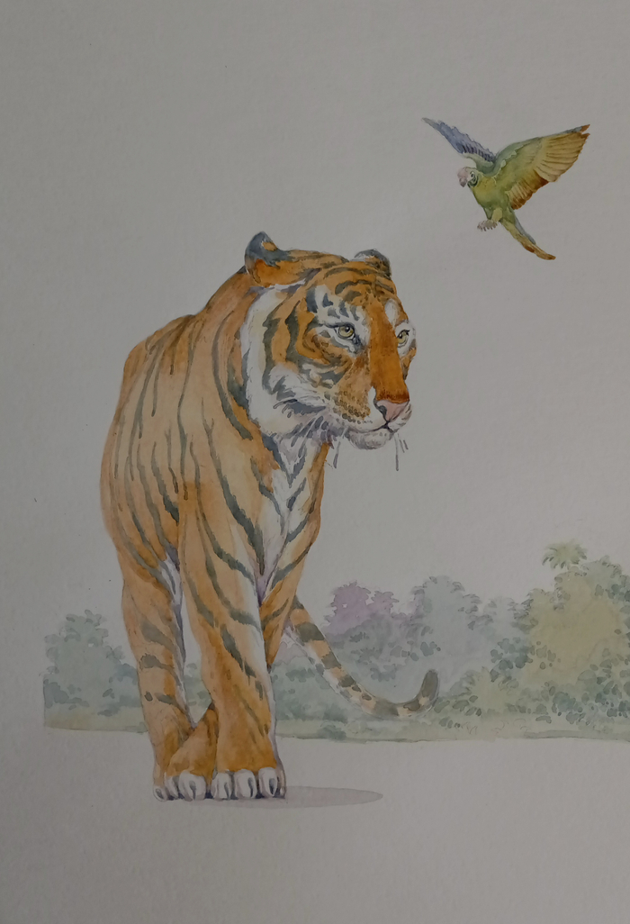 Парящий тигр