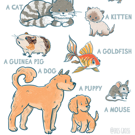 Плакат для изучения английского языка "Питомцы"