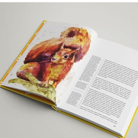 Книжная иллюстрация