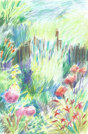 Лето, где ты