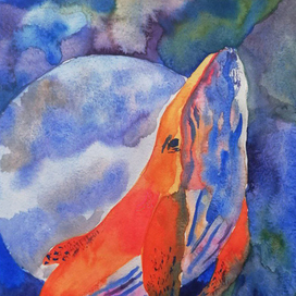 Апельсиновый кит