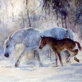 Лошадки зимой. Июлька и маленькая Морозка.