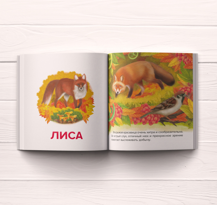 Книга "Первые слова"