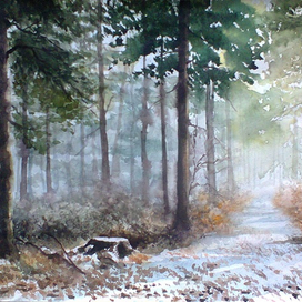 Светлое утро