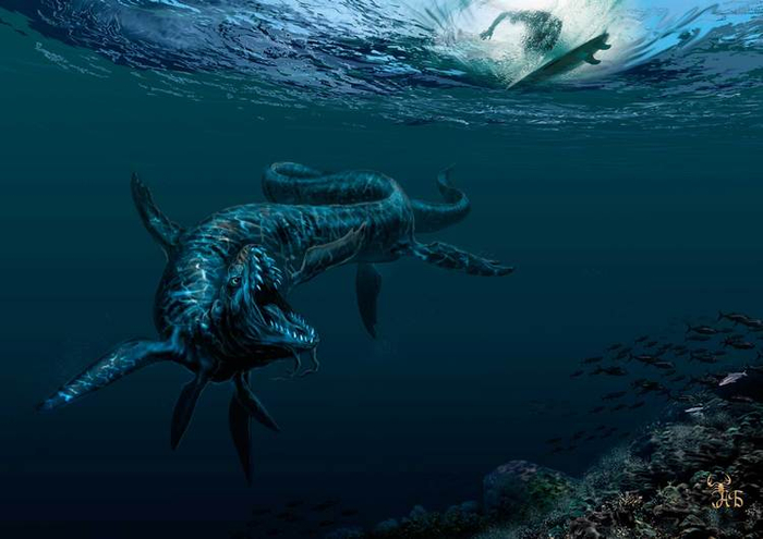 Опасный заплыв на Большом барьерном...